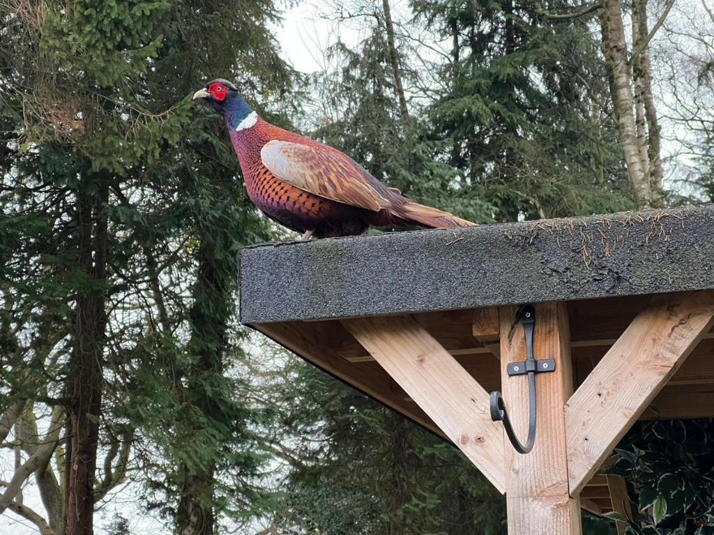 Loch Lomond Hideaways Villa Drymen Exterior foto